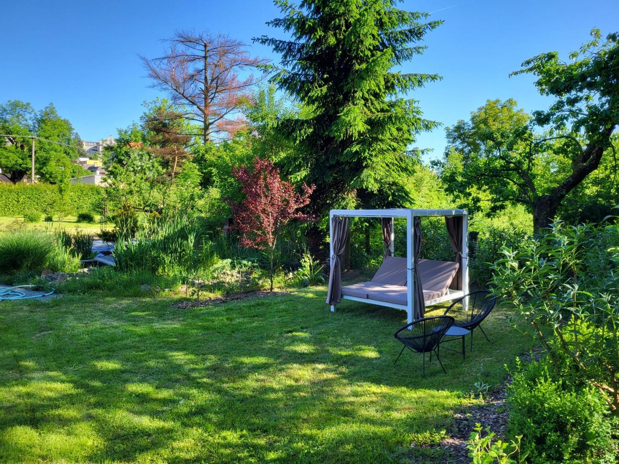 Apartman V Podzamci Rychnov nad Kneznou Extérieur photo